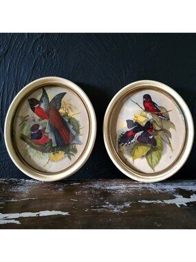 Pair of Vintage Framed Red Birds Prints, Vintage Gallery Wall Art, Animal Prints